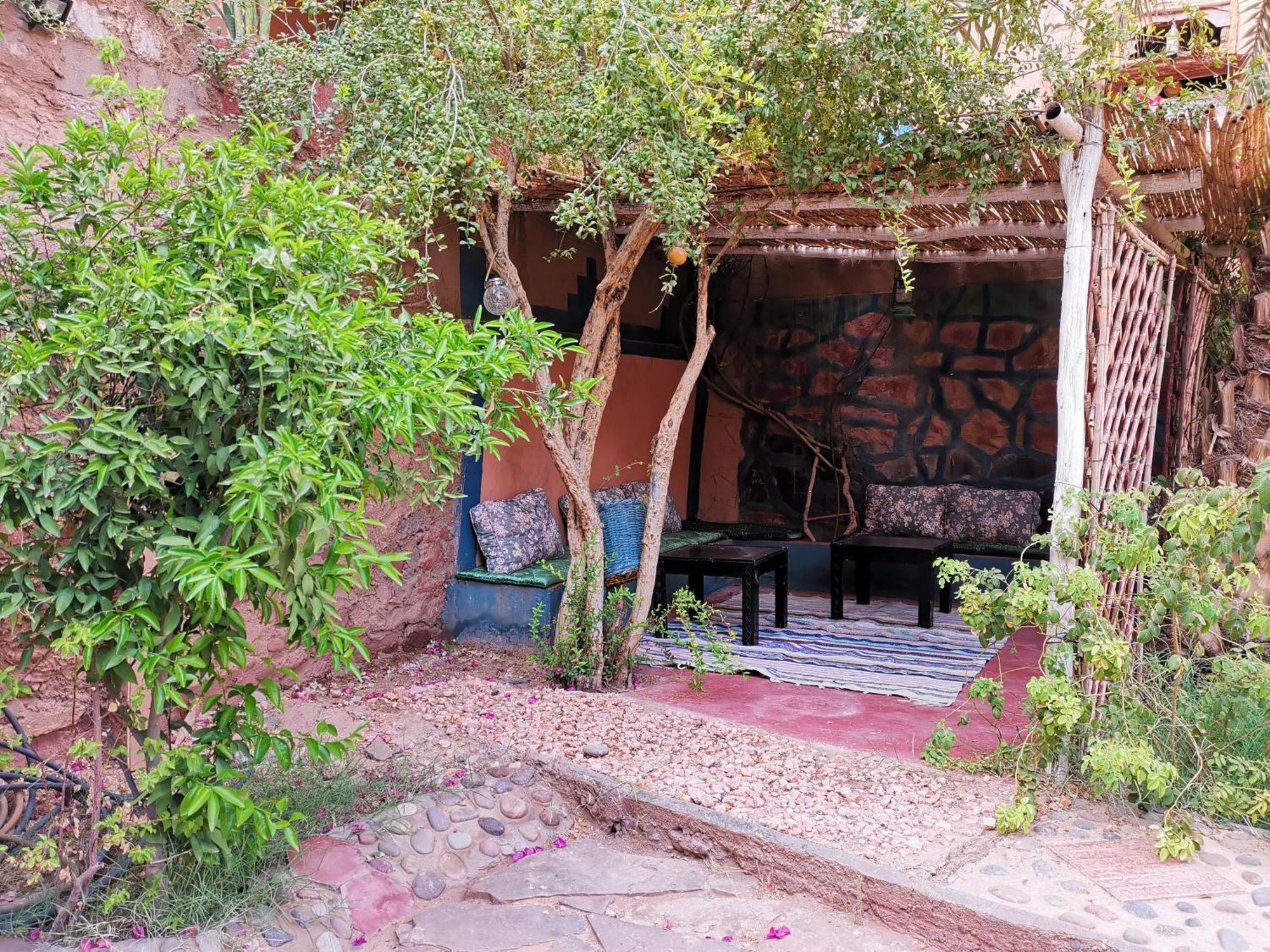 Riad Dar Zaouia Zagora Bagian luar foto